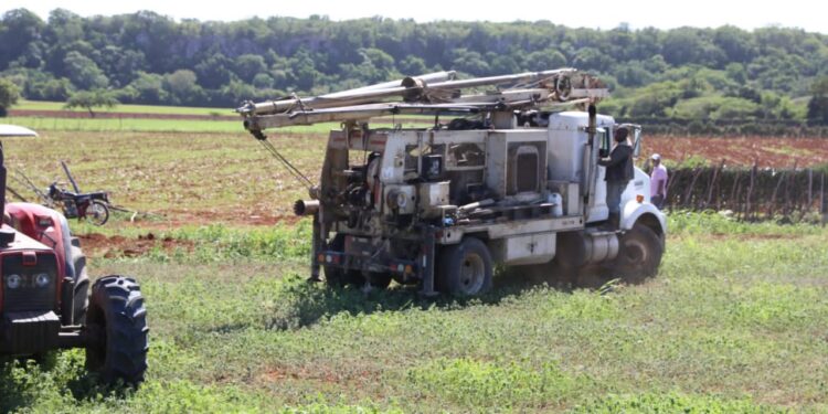 Agricultura lanza en Puerto Plata siembra de maíz temporada 2022