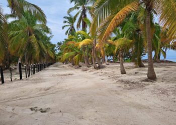 Resuelven grave violación al libre acceso público a playas en cabeza de toro