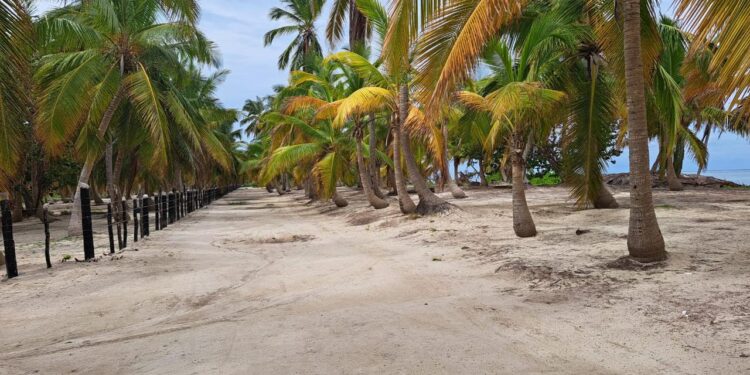 Resuelven grave violación al libre acceso público a playas en cabeza de toro