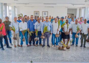 Gobierno comenzará en Samaná la renovación de las plantaciones de Coco del país