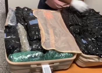 Investigan hallazgo de dos maletas con 67 paquetes de marihuana en el AILA