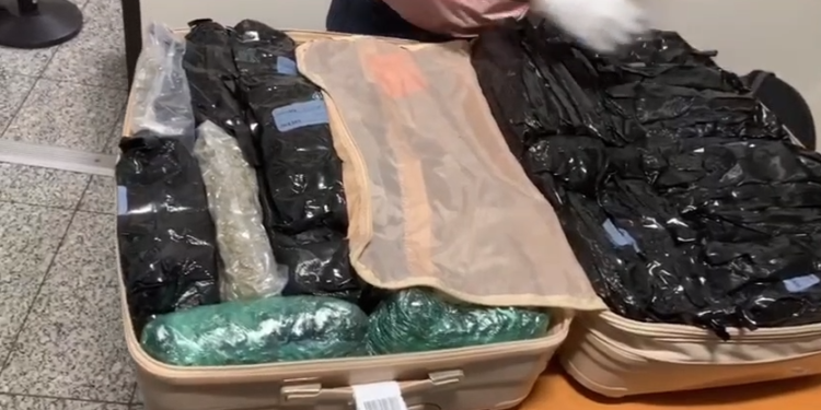 Investigan hallazgo de dos maletas con 67 paquetes de marihuana en el AILA