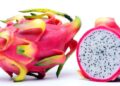 Pitahaya ¿Sabes cuáles son sus beneficios?