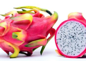 Pitahaya ¿Sabes cuáles son sus beneficios?