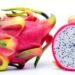 Pitahaya ¿Sabes cuáles son sus beneficios?