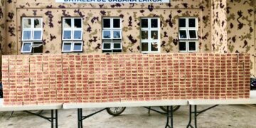 CESFronT detiene tres haitianos en un camión reportado como robado