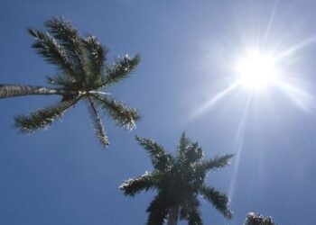 Cielo mayormente soleado con algunos chubascos para la tarde