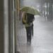 Onamet: Temperaturas frescas y lluvias moderadas en provincias del interior