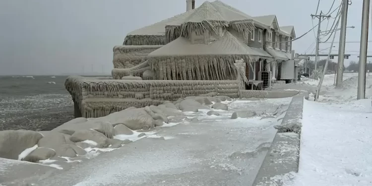 Las bajas temperaturas y las nevadas provocan al menos 50 muertos en EE.UU.