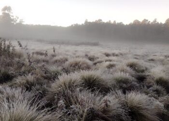 Temperaturas Bajo Cero en Valle Nuevo