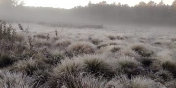 Temperaturas Bajo Cero en Valle Nuevo