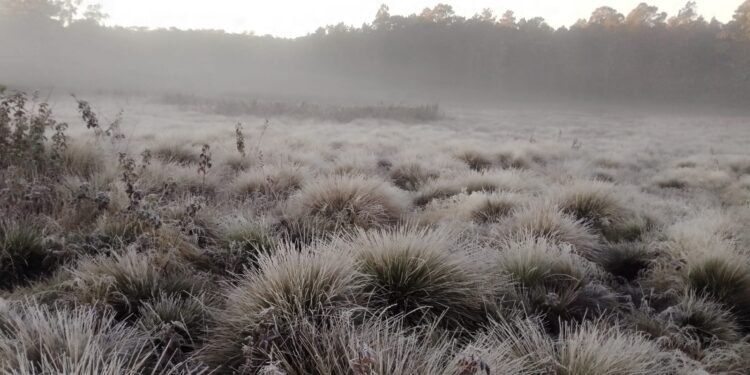 Temperaturas Bajo Cero en Valle Nuevo