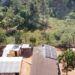 CNE lleva energía eléctrica por primera vez a zonas rurales en Elías Piña