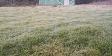 Temperaturas continúan bajando en Valle Nuevo