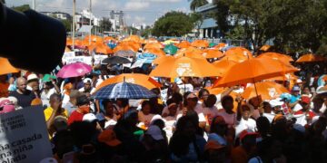 Foro Feminista Magaly Pineda afirma medida Minerd niega derechos de mujeres y niñas