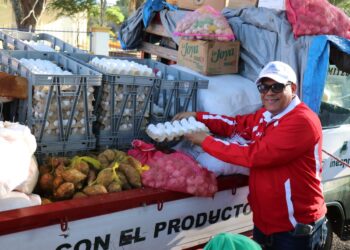 Comunidad Segura llama a los dominicanos a vivir y disfrutar la Navidad con prudencia para evitar tragedias