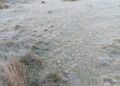 Bajas temperaturas retornan a Valle Nuevo