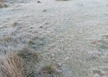 Bajas temperaturas retornan a Valle Nuevo