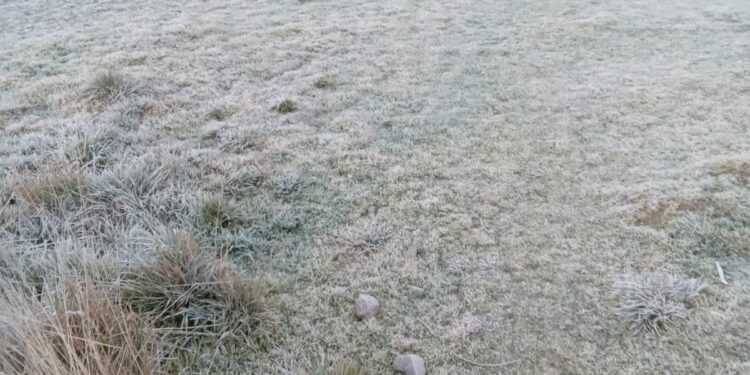 Bajas temperaturas retornan a Valle Nuevo