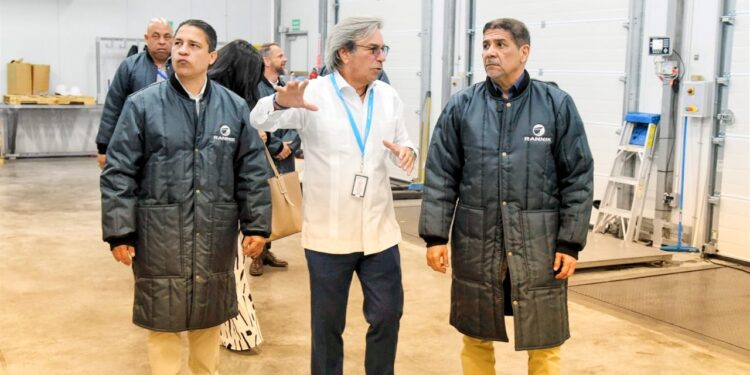 Ministro de Agricultura pondera impacto restablecimiento de exportación de vacuno hacia Estados Unidos