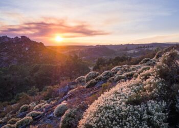 Hoy arranca el invierno en el hemisferio norte