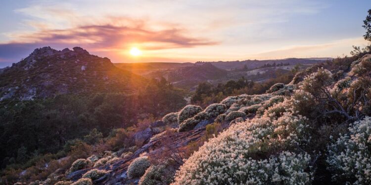 Hoy arranca el invierno en el hemisferio norte