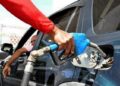 Precios de los combustibles siguen sin variación