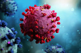 Reportan 79 nuevos casos de COVID-19