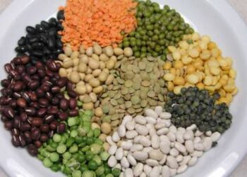 Leguminosas que ayuda al crecimiento y a combatir la anemia