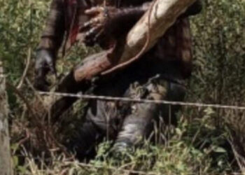 Nacional haitiano de 87 años se ahorca en Higüey