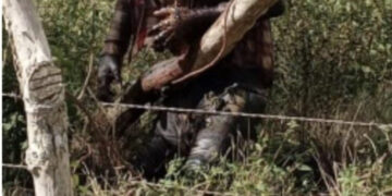 Nacional haitiano de 87 años se ahorca en Higüey