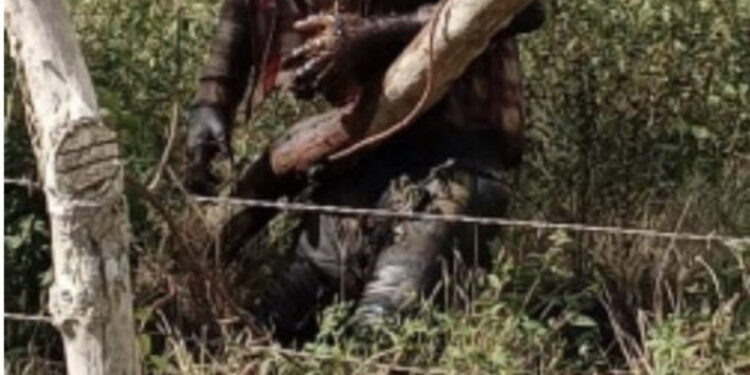 Nacional haitiano de 87 años se ahorca en Higüey