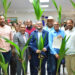 FEDA inicia Plan de Relanzamiento del Sector del Coco con entrega de más de 90 mil plántulas