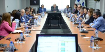 Comisión Especial del CNSS se reúne con sectores del SDSS