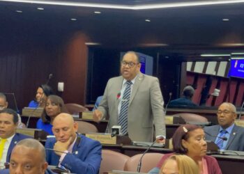 Arroceros piden al presidente Abinader anunciar solución a este sector