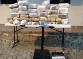 Policía Nacional ocupa 46 pacas de marihuana durante operativo en Los Ríos