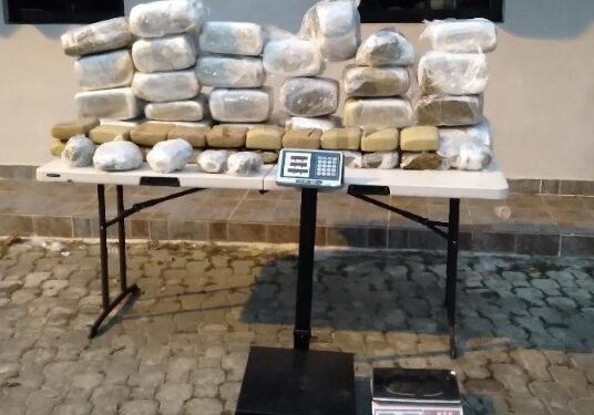 Policía Nacional ocupa 46 pacas de marihuana durante operativo en Los Ríos