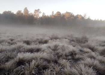 Continuarán las temperaturas frescas y escasas lluvias en el país
