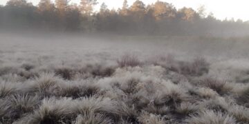 Continuarán las temperaturas frescas y escasas lluvias en el país