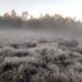 Continuarán las temperaturas frescas y escasas lluvias en el país