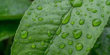 Pronostican lluvias débiles y ambiente fresco