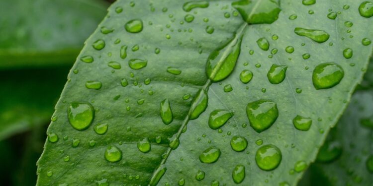 Pronostican lluvias débiles y ambiente fresco