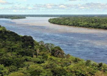 Rescatan en Colombia a 23 personas que estaban a la deriva en el río Amazonas