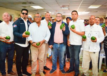 Director FEDA anuncia trabajará en empacadora aguacates y otros proyectos en Ocoa