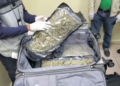 Arrestan extranjero con 21 paquetes presumiblemente marihuana