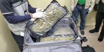 Arrestan extranjero con 21 paquetes presumiblemente marihuana