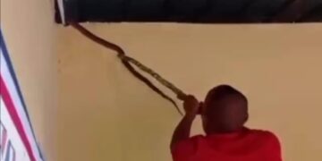 Por aparición de culebra evacuan centro educativo en Gaspar Hernández