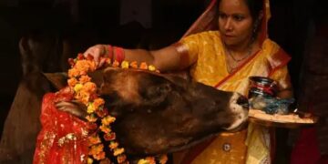 Cancelado el día de abrazar vacas en India, llamado a sustituir San Valentín