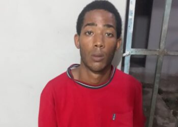 Apresan joven acusado de matar a su madre  