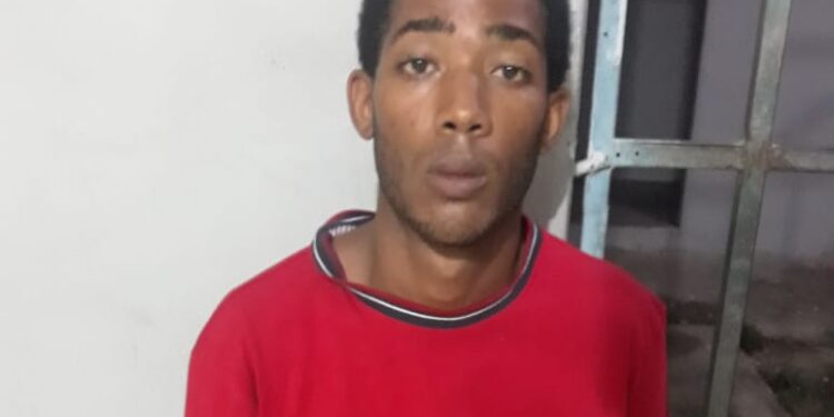 Apresan joven acusado de matar a su madre